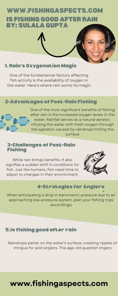 infographic on is fishing good after rain