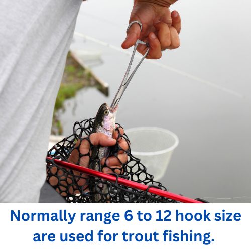 What Size Fishing Hook Used for Trout