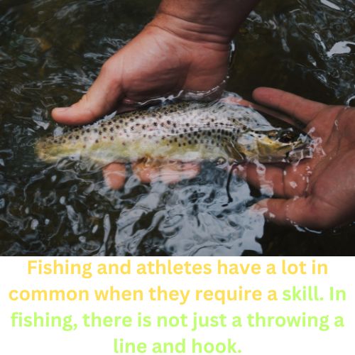 Reason Why Fishing Is Not a Sport