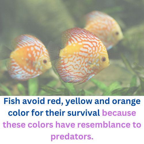 What Color Do Fish Avoid 