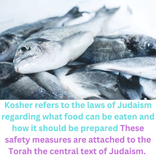 Is Fishing Kosher