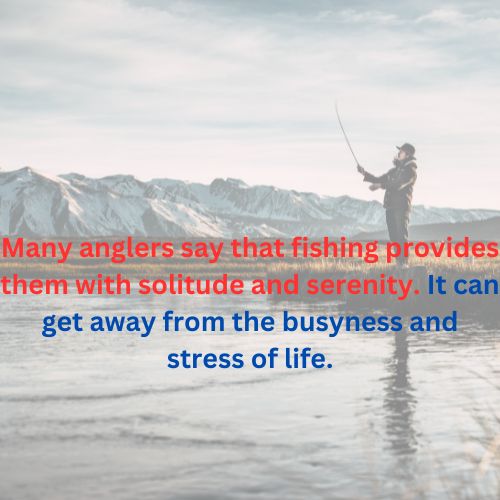 Reason Why Fishing Is Not a Sport