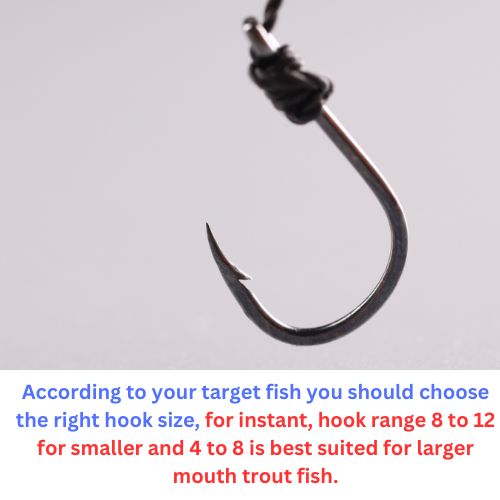 What Size Fishing Hook Used for Trout