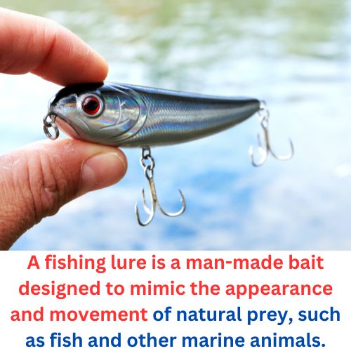 Fishing Jig vs Lure 