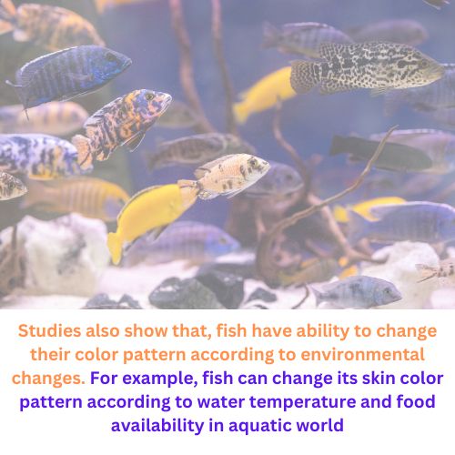 What Color Do Fish Avoid 