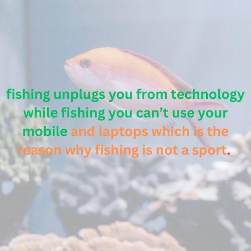 Reason Why Fishing Is Not a Sport