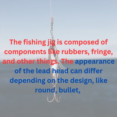 Fishing Jig vs Lure 