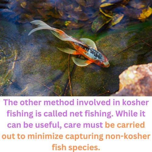 Is Fishing Kosher