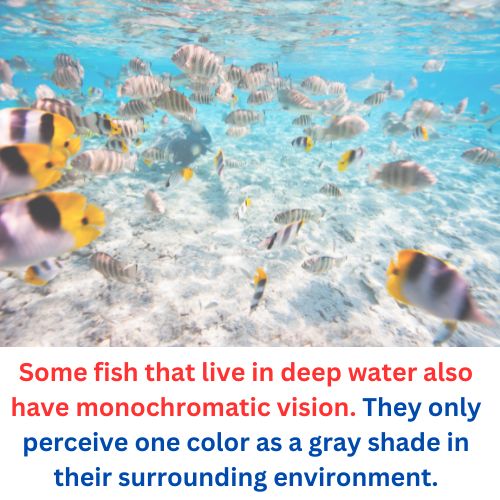 What Color Do Fish Avoid 