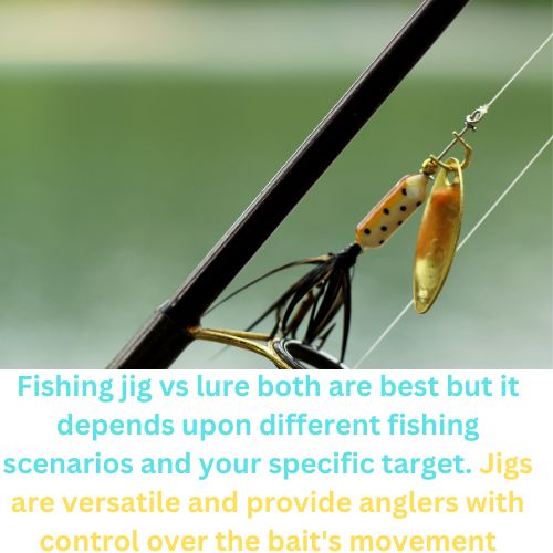 Fishing Jig vs Lure 