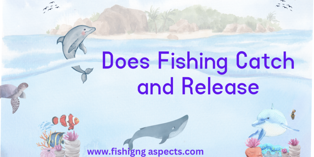 Does Fishing Catch and Release