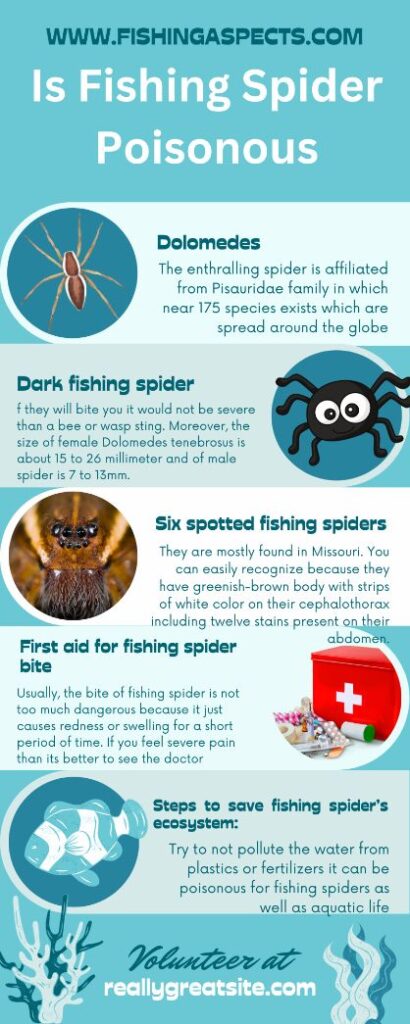 Is Fishing Spider Poisonous