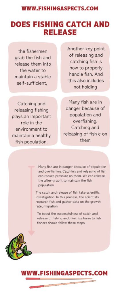 Does Fishing Catch and Release