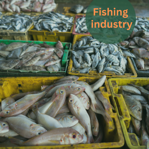 Is the Fishing Industry Profitable? 