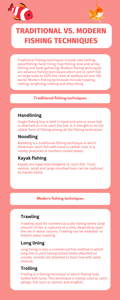 Traditional vs. Modern Fishing Techniques