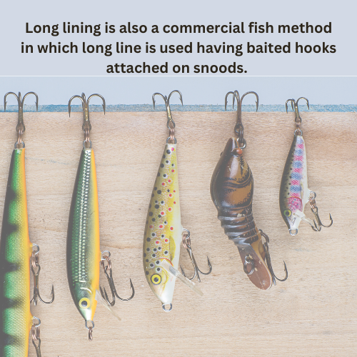 Traditional vs. Modern Fishing Techniques