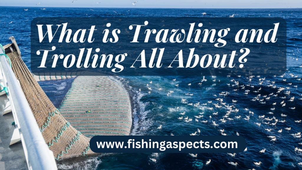 what is trawling and trolling ?