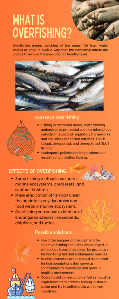 What is Overfishing