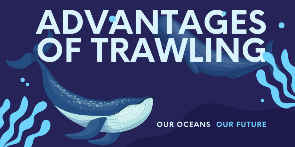 Advantages of Trawling